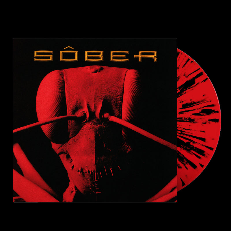 MORFOLOGÍA [ PRE-ORDER ]